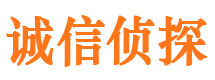 鲁山市调查公司